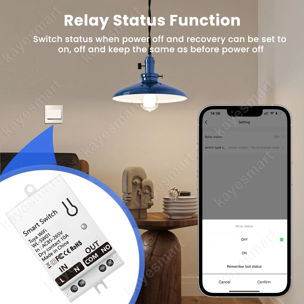 Tuya WiFi Smart Switch Module  – обзор и цена Smart Accessories